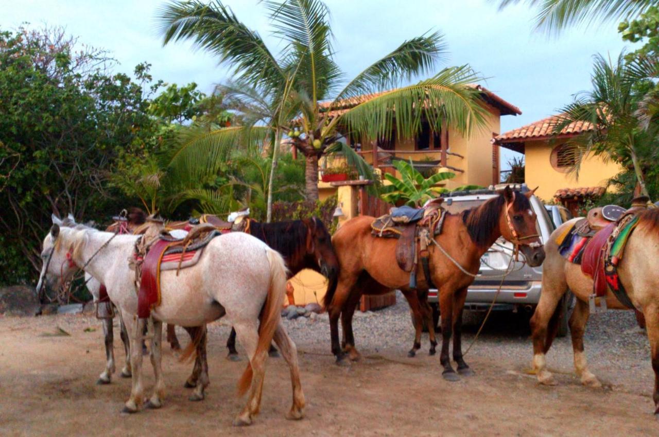 Troncones Point Hostel Esterno foto