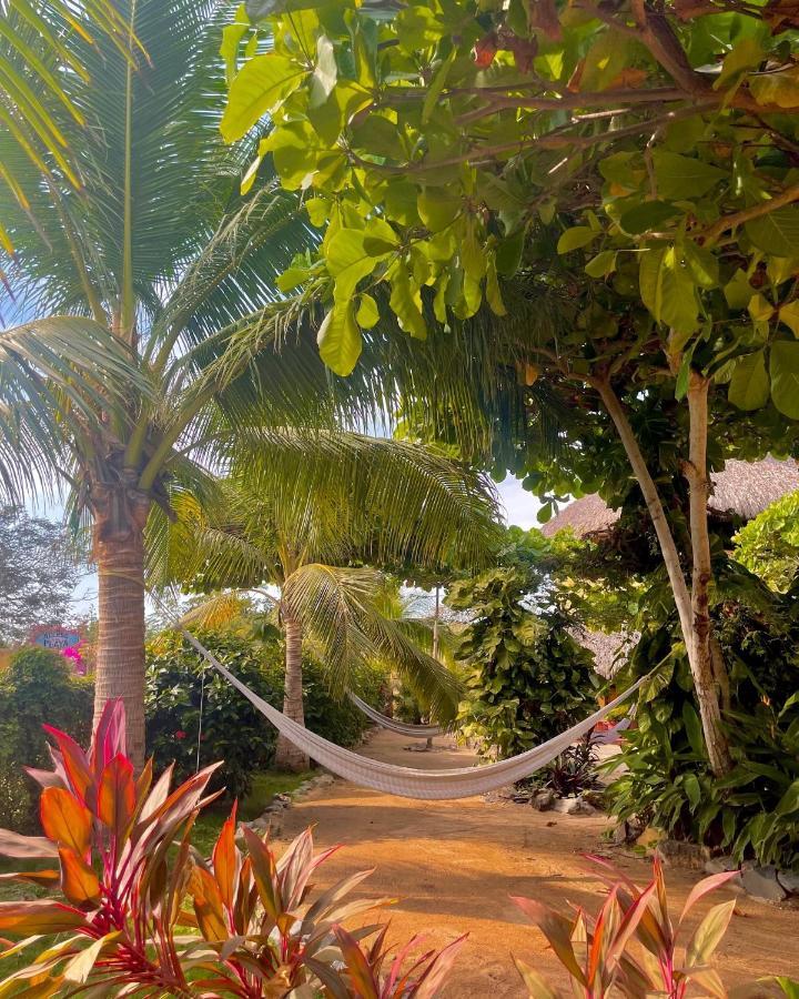 Troncones Point Hostel Esterno foto