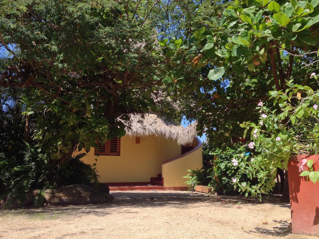Troncones Point Hostel Esterno foto